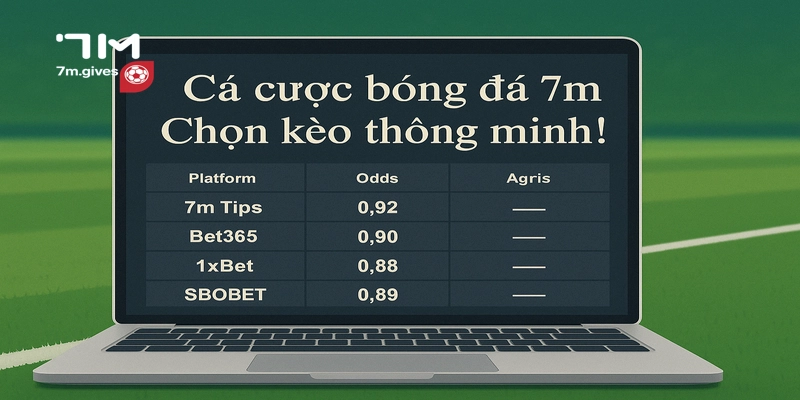 Cá cược bóng đá 7M chọn kèo thông minh