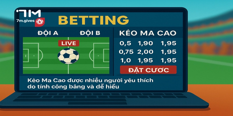 Kèo ma cao được yêu thích