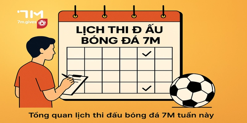 Lịch thi đấu 7m